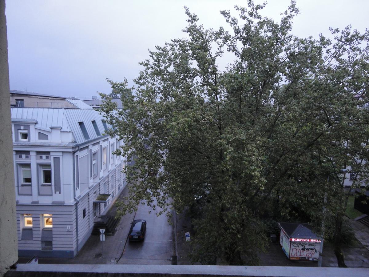 Vilnius Town Apartment Kültér fotó
