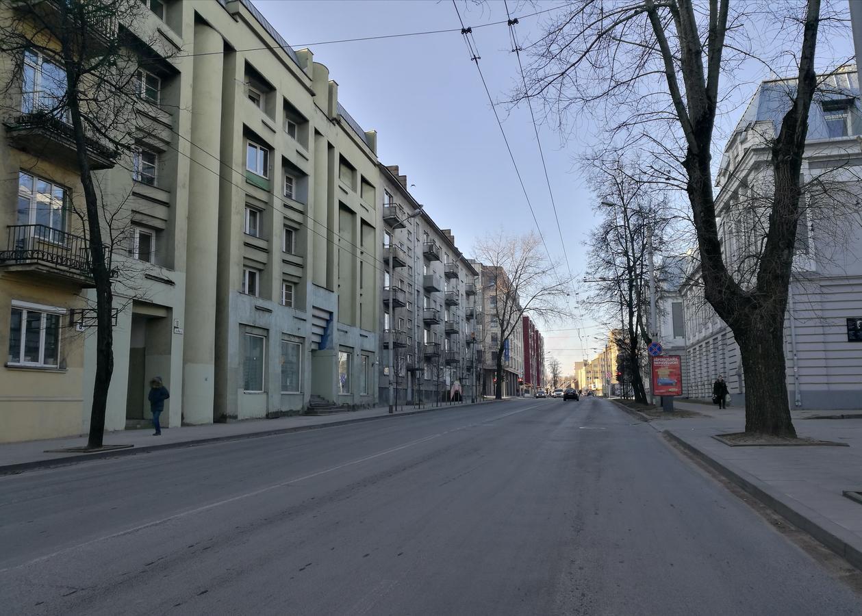 Vilnius Town Apartment Kültér fotó